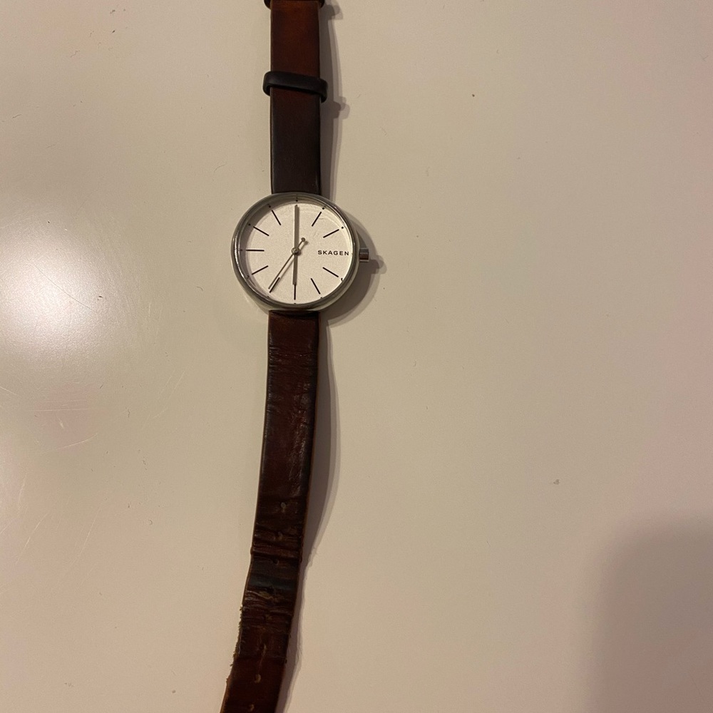 Brown Leather Skagen Women’s Stainless Steel Watch